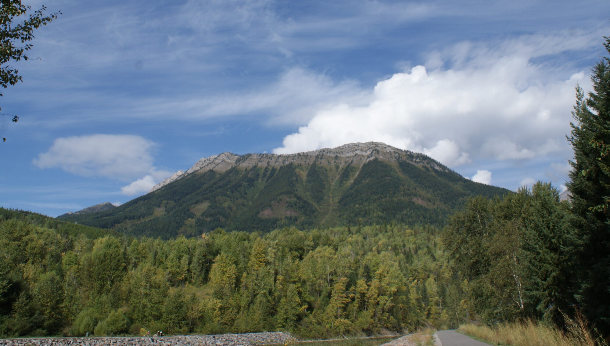 Fernie